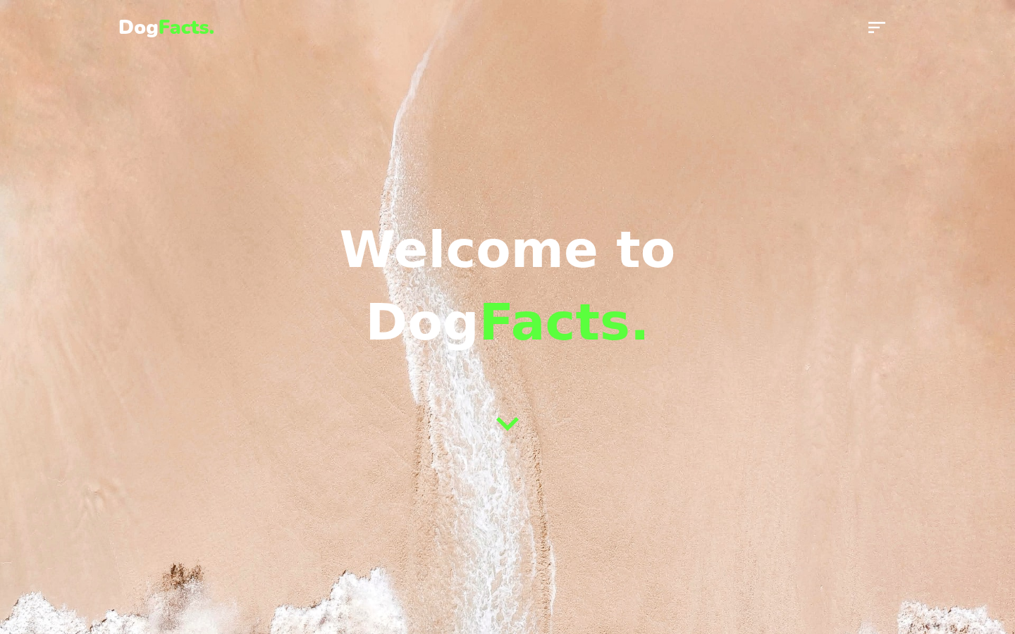 Dog Facts